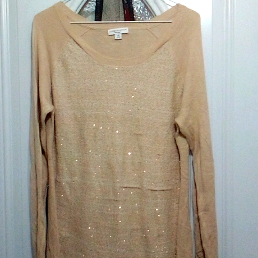 Sparkling beige sweater